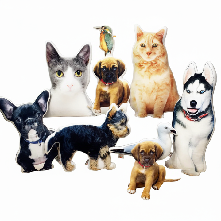 Personalized Pet Plush Pillow