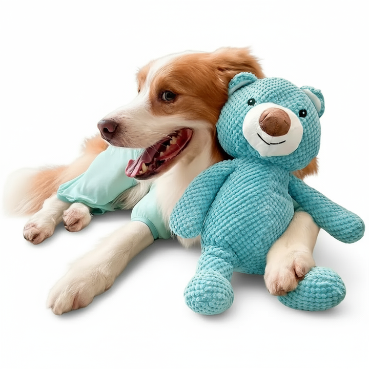 Plush Squeaky Dog Toy